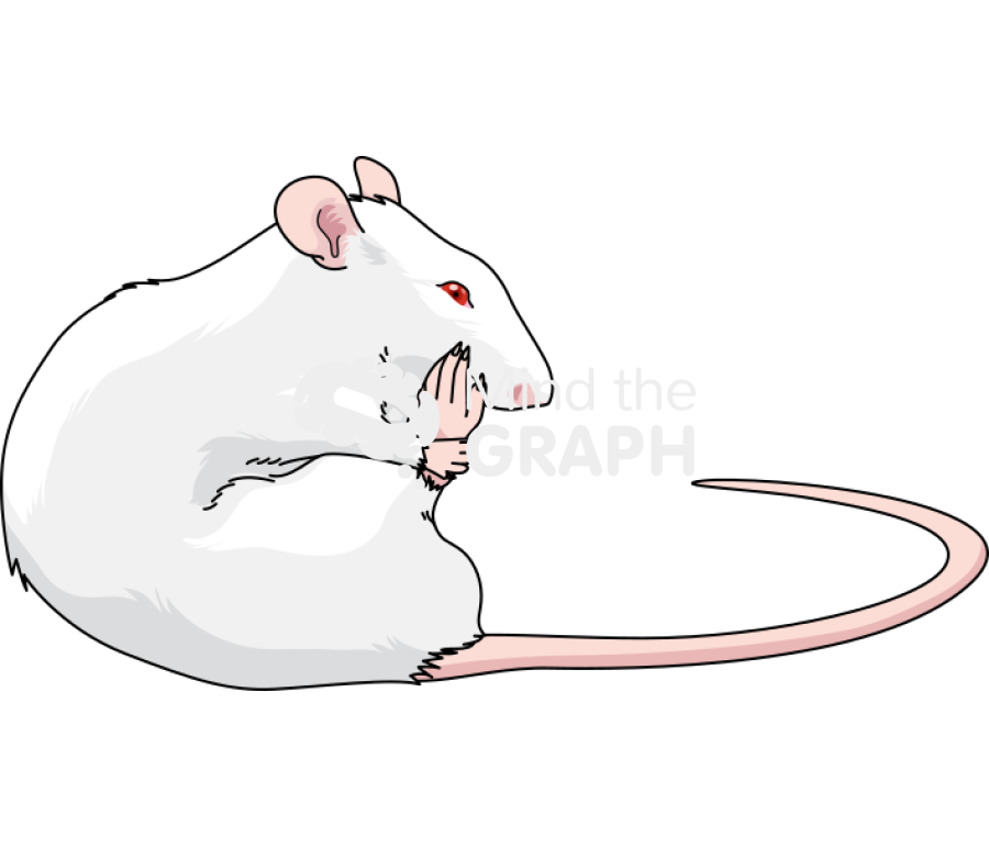 Rat paw lick Icons, Symbols, Pictures, and Images