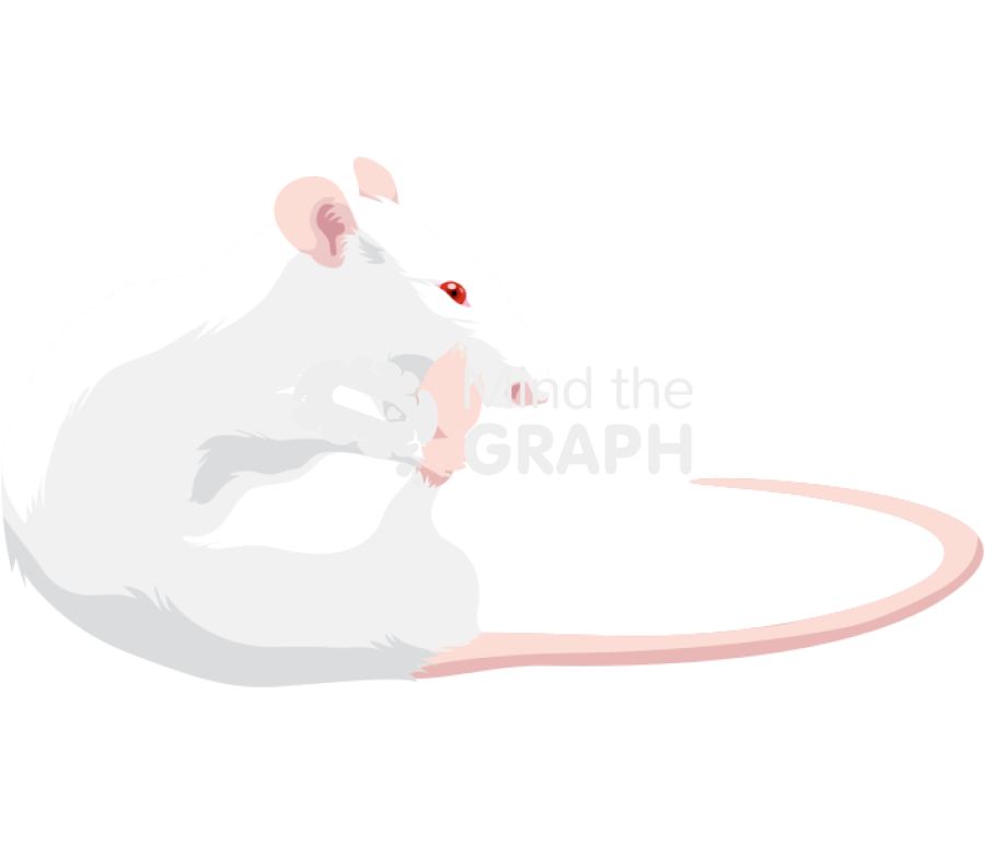 Rat paw lick Icons, Symbols, Pictures, and Images