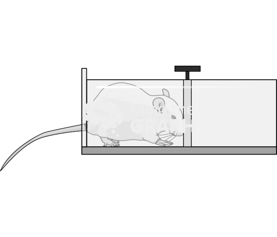 Rat restrainer Icons, Symbols, Pictures, and Images