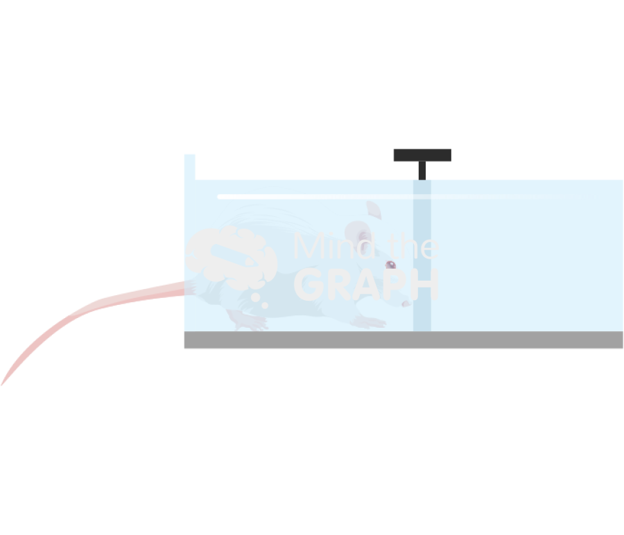 Rat restrainer Icons, Symbols, Pictures, and Images