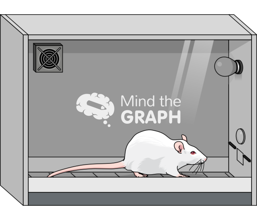 Rat self administration chamber perspective Icons, Symbols, Pictures, and Images