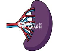 Rat spleen - Edit and Customize Icons of Rat spleen Rat spleen Icons, Symbols, Pictures, and Images