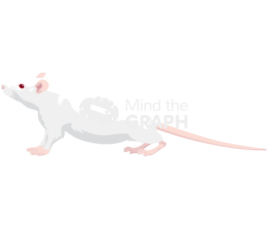 Rat stretch attend posture Icons, Symbols, Pictures, and Images