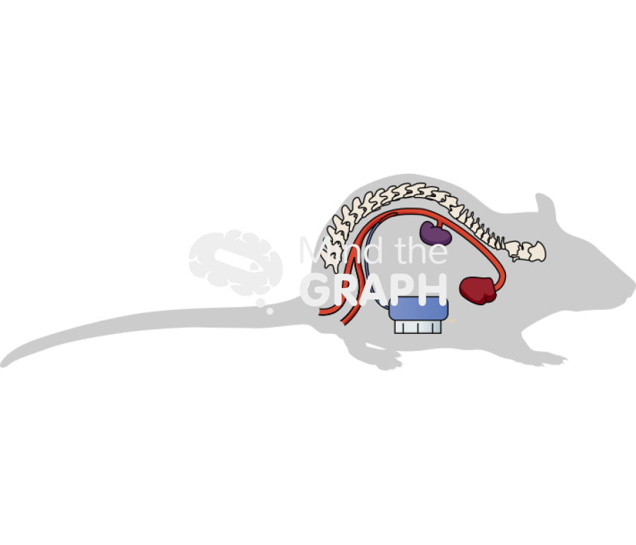 Rat telemetry implant shape Icons, Symbols, Pictures, and Images