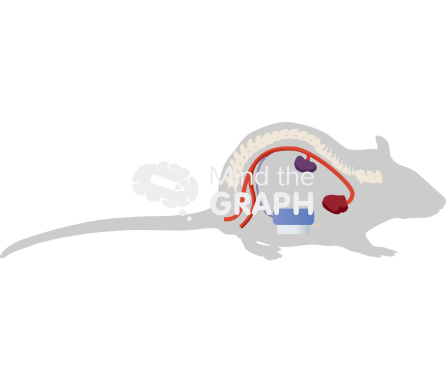 Rat telemetry implant shape Icons, Symbols, Pictures, and Images