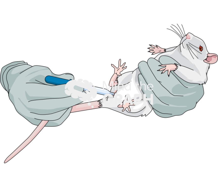 Rat vaginal smears collection Icons, Symbols, Pictures, and Images