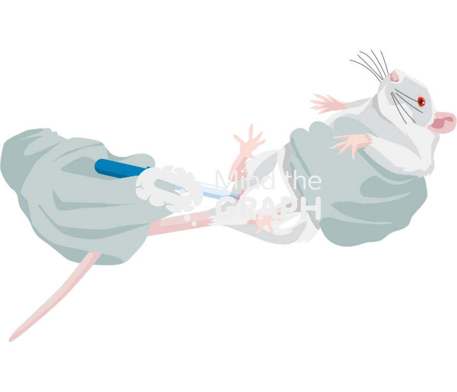 Rat vaginal smears collection Icons, Symbols, Pictures, and Images