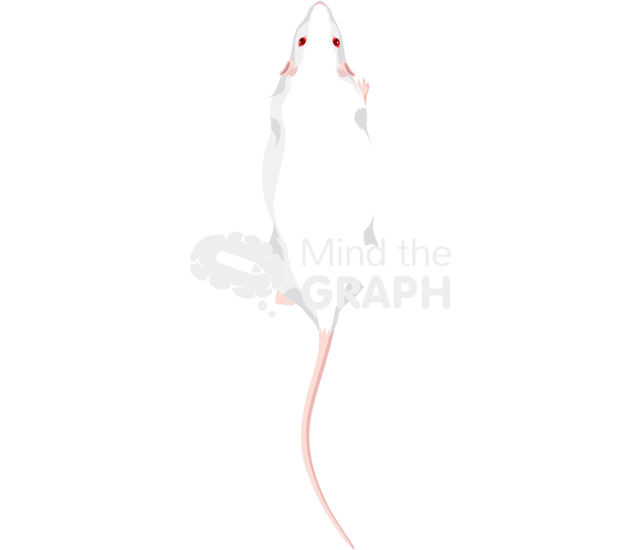 Rat walking top Icons, Symbols, Pictures, and Images