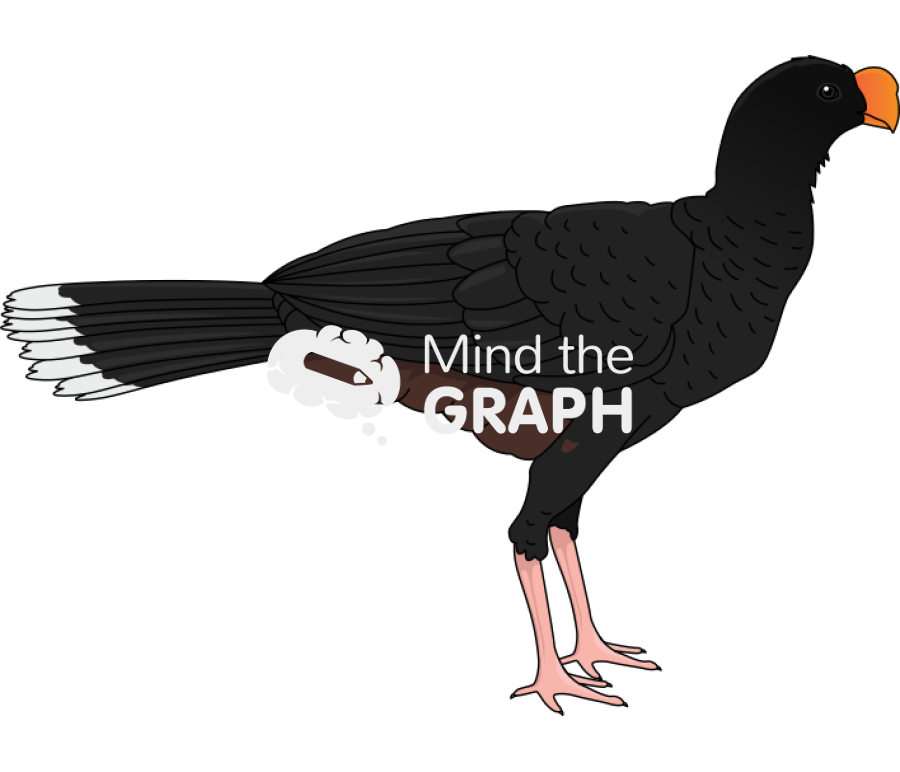 Razor billed curassow lateral Icons, Symbols, Pictures, and Images