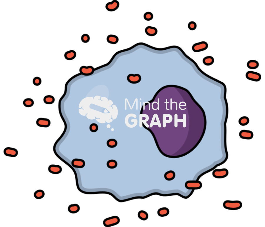 Reative oxygen species attacked cell Icons, Symbols, Pictures, and Images