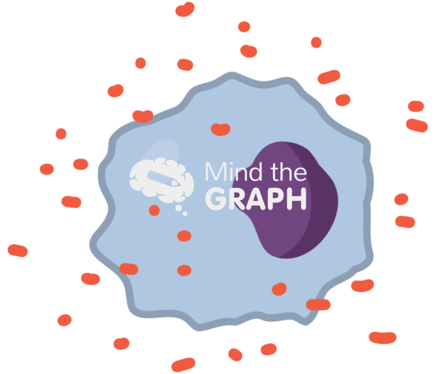 Reative oxygen species attacked cell Icons, Symbols, Pictures, and Images