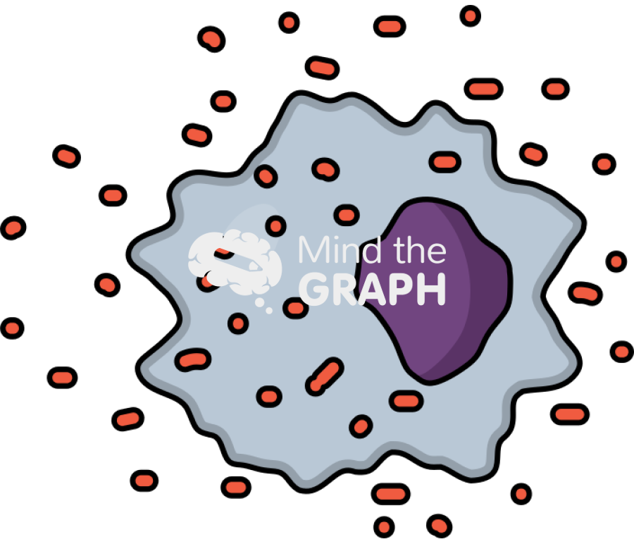 Reative oxygen species cell oxidative stress Icons, Symbols, Pictures, and Images