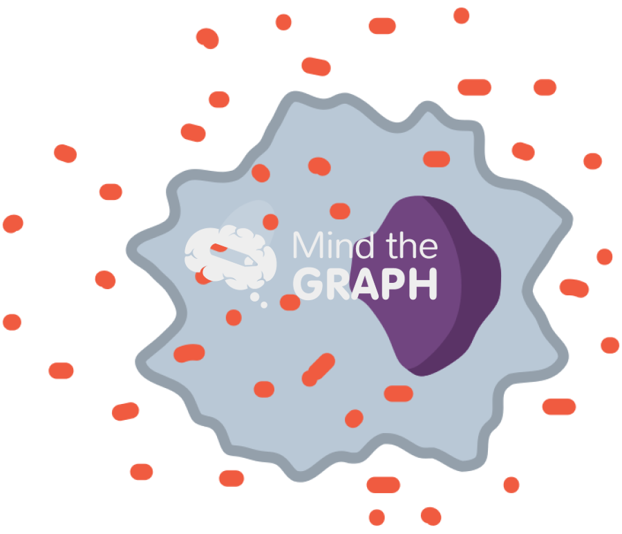 Reative oxygen species cell oxidative stress Icons, Symbols, Pictures, and Images