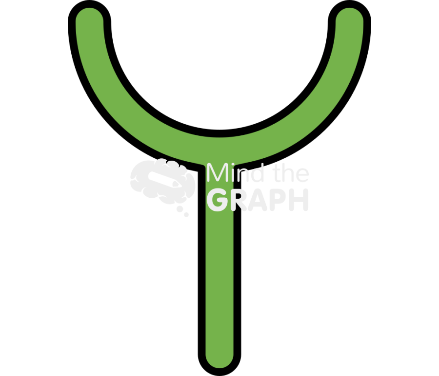 Receptor simple 2 Icons, Symbols, Pictures, and Images