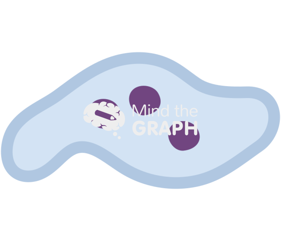 Recycling endosome Icons, Symbols, Pictures, and Images