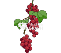 Red grape cluster 2 Icons, Symbols, Pictures, and Images