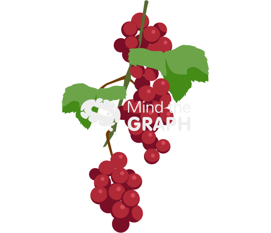 Red grape cluster 2 Icons, Symbols, Pictures, and Images