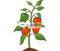 Red pepper plant Icons, Symbols, Pictures, and Images