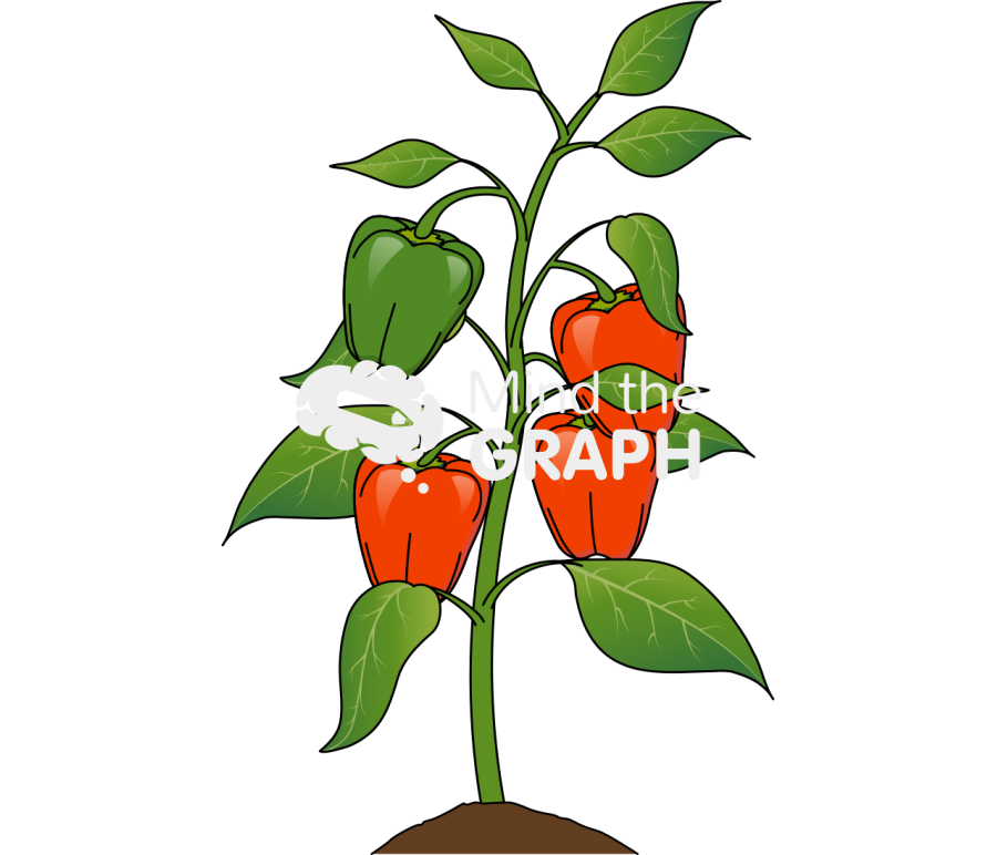 Red pepper plant Icons, Symbols, Pictures, and Images