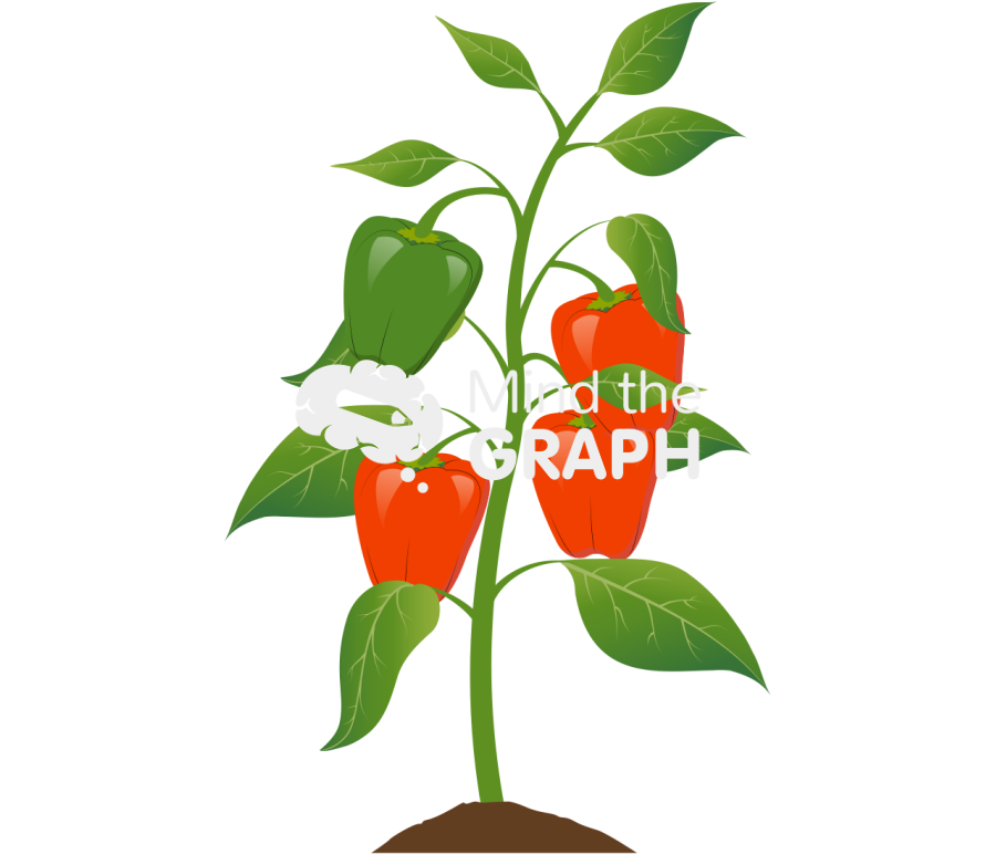 Red pepper plant Icons, Symbols, Pictures, and Images