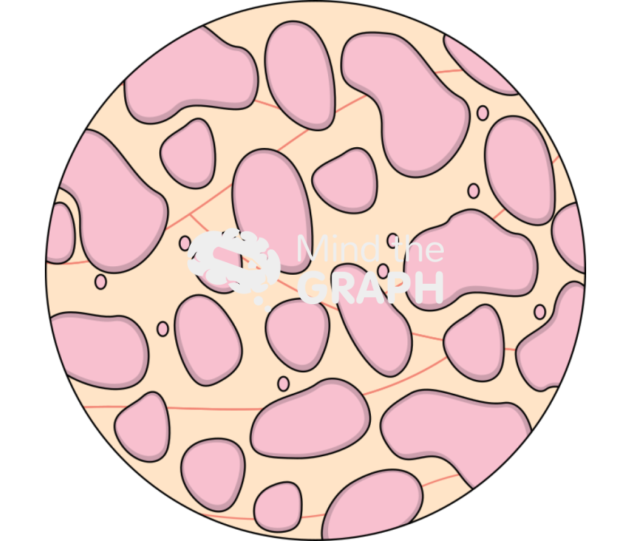 Renal cells tissue zoom Icons, Symbols, Pictures, and Images