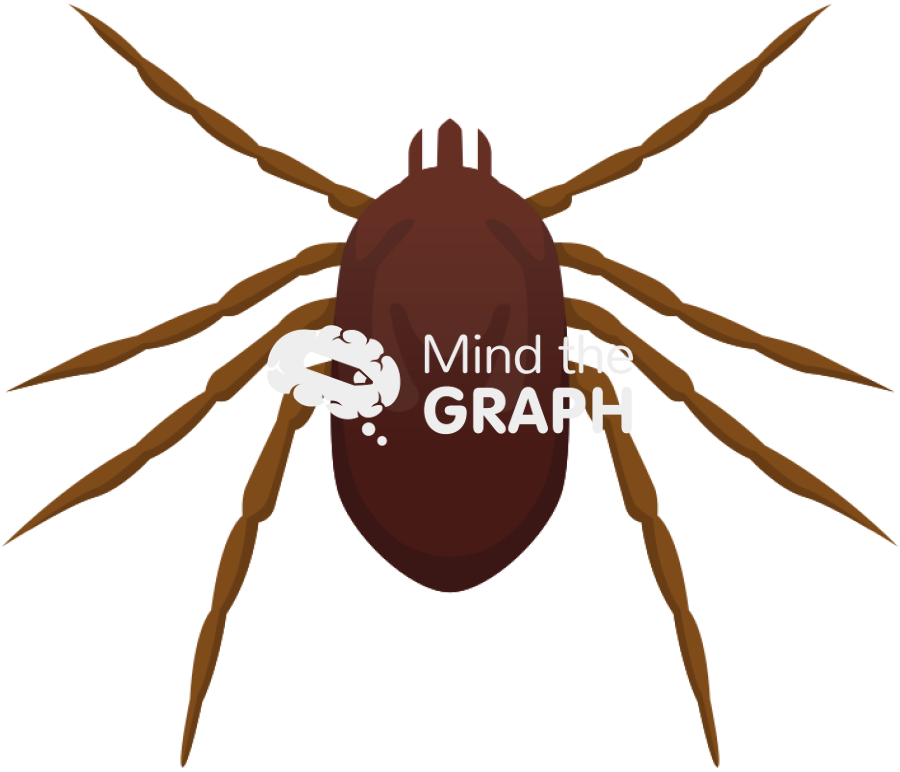 Rhipicephalus microplus cattle fever tick female Icons, Symbols, Pictures, and Images