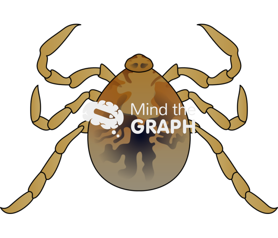 Rhipicephalus sanguineus brown dog tick larvae Icons, Symbols, Pictures, and Images