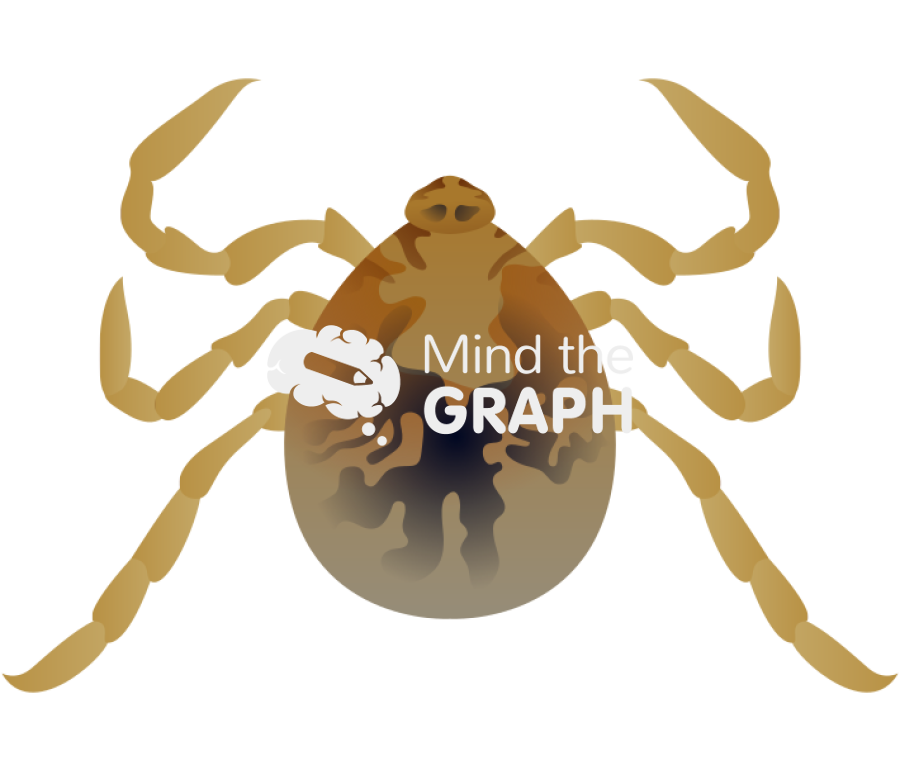 Rhipicephalus sanguineus brown dog tick larvae Icons, Symbols, Pictures, and Images