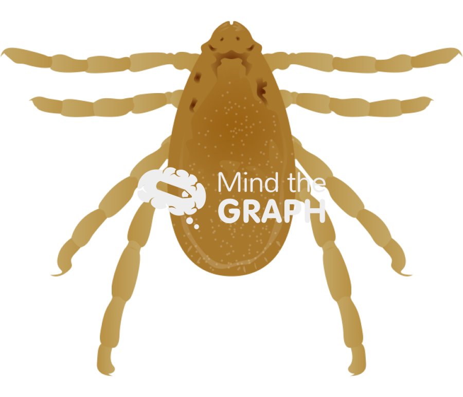 Rhipicephalus sanguineus brown dog tick male Icons, Symbols, Pictures, and Images