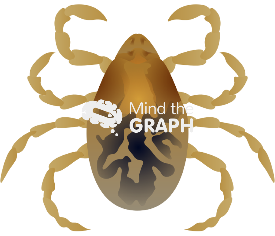 Rhipicephalus sanguineus brown dog tick nymph Icons, Symbols, Pictures, and Images