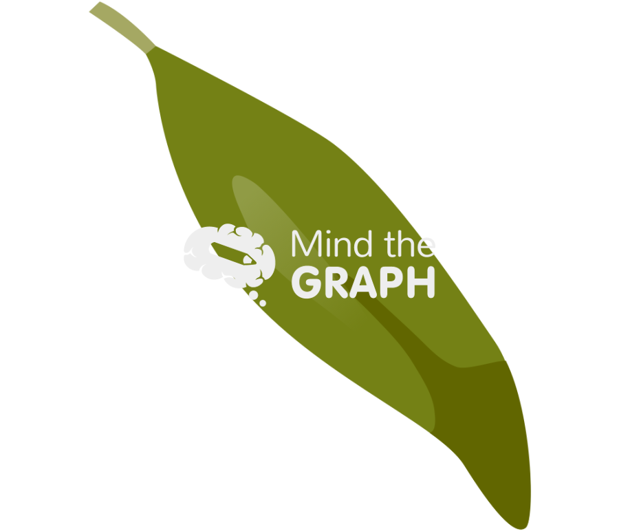 Rhizophora mangle leaf 2 Icons, Symbols, Pictures, and Images