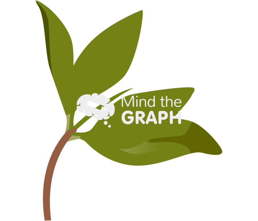 Rhizophora mangle leafs Icons, Symbols, Pictures, and Images