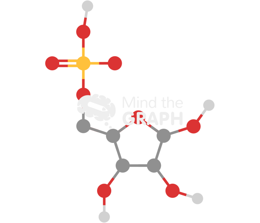 Ribose phosphate backbone molecule Icons, Symbols, Pictures, and Images