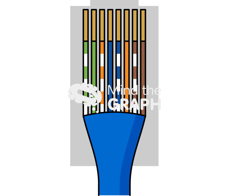 Rj45 connector cable 568a shape Icons, Symbols, Pictures, and Images