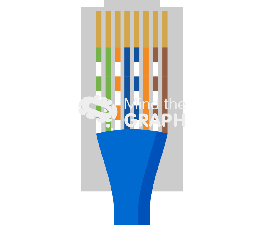 Rj45 connector cable 568a shape Icons, Symbols, Pictures, and Images