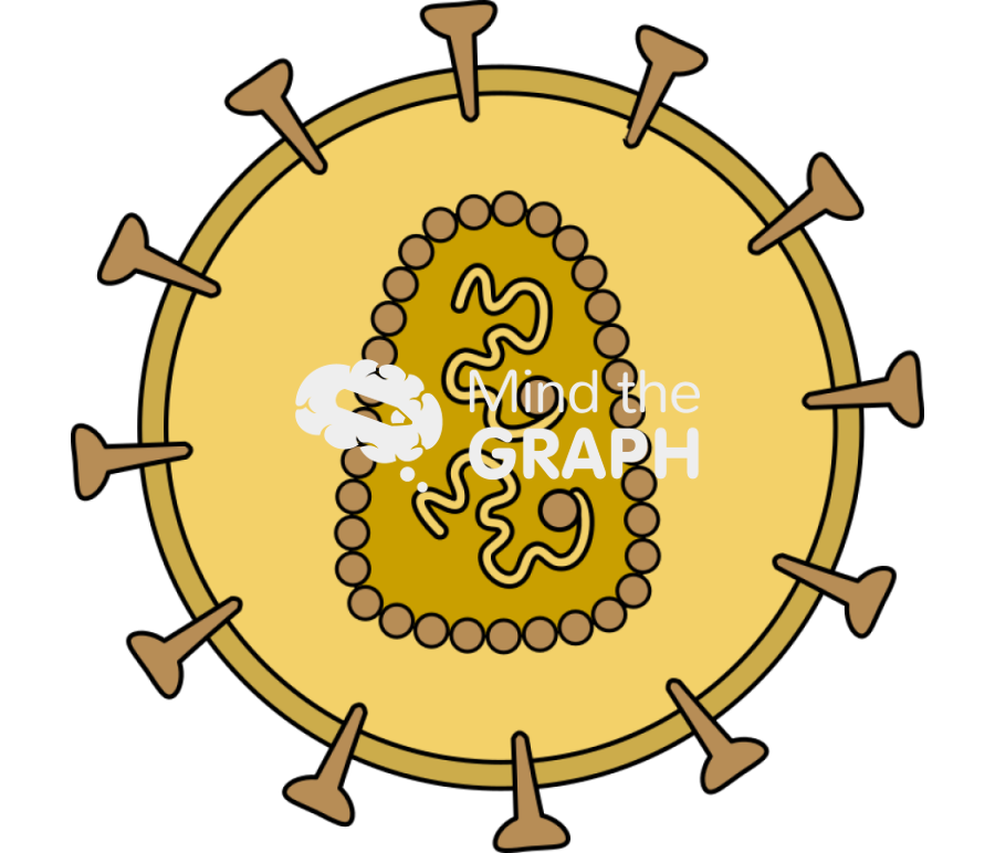 Rna virus with envelope mature state Icons, Symbols, Pictures, and Images