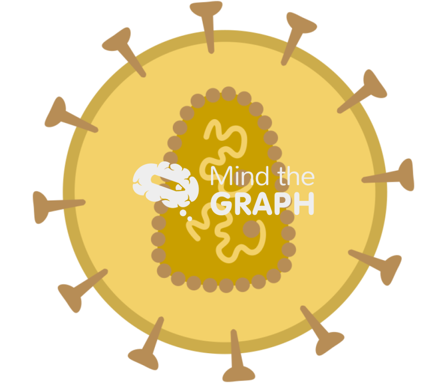 Rna virus with envelope mature state Icons, Symbols, Pictures, and Images