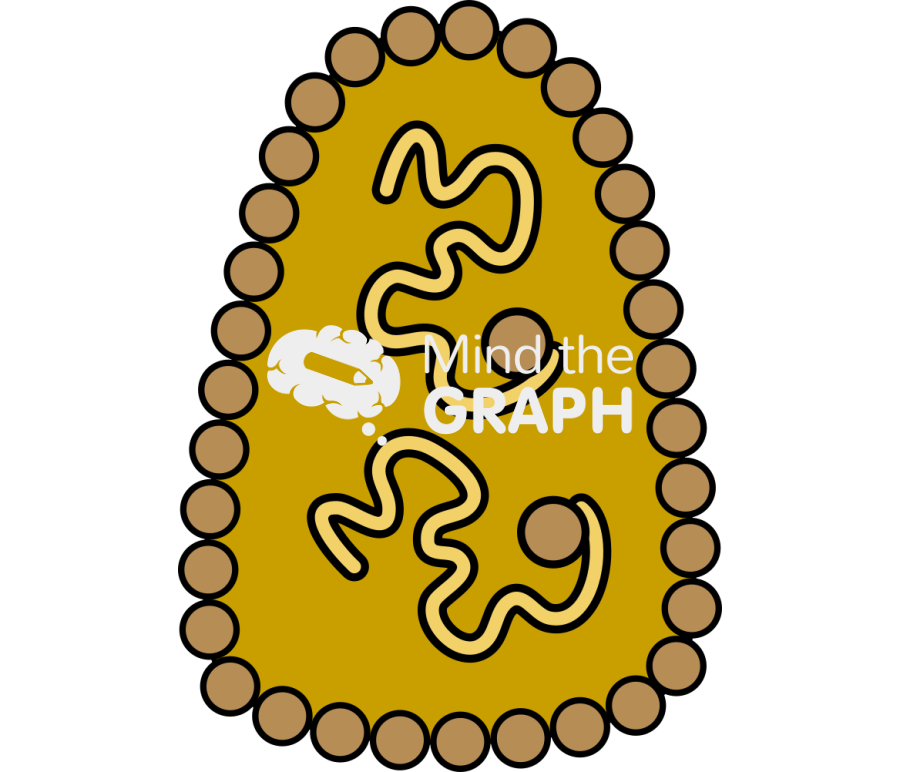 Rna virus without envelope Icons, Symbols, Pictures, and Images