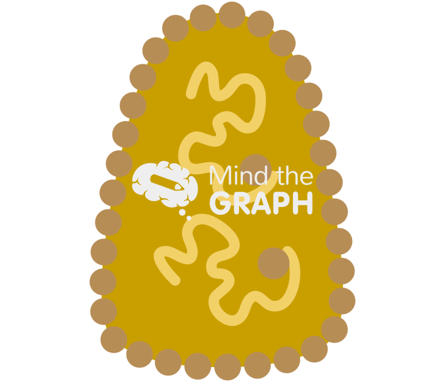 Rna virus without envelope Icons, Symbols, Pictures, and Images