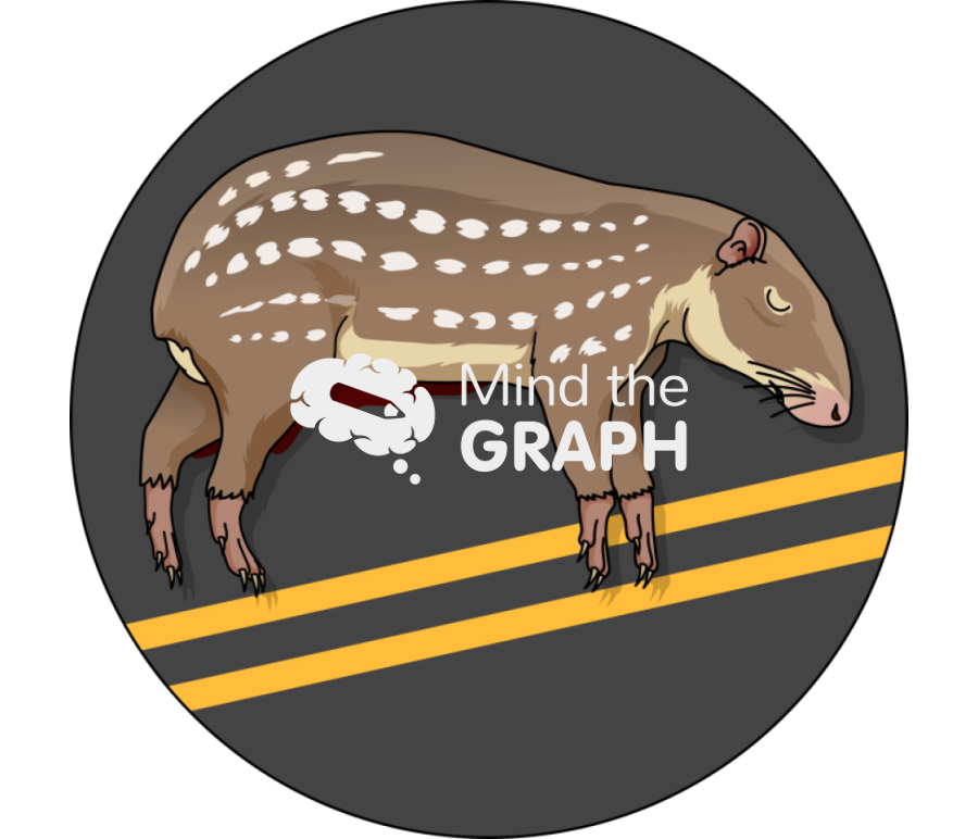 Roadkill lowland paca zoom Icons, Symbols, Pictures, and Images