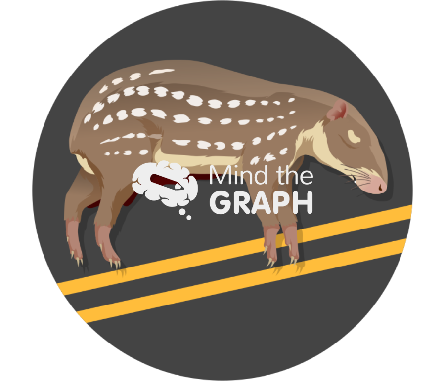 Roadkill lowland paca zoom Icons, Symbols, Pictures, and Images