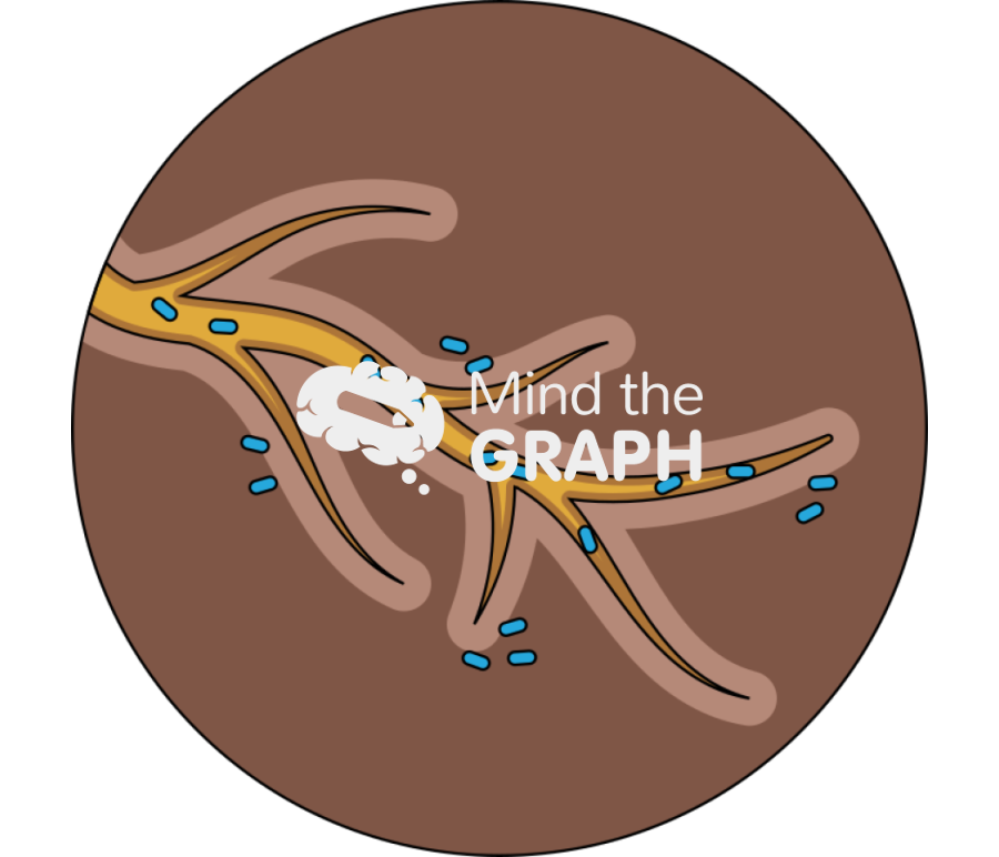 Root microbiome zoom Icons, Symbols, Pictures, and Images
