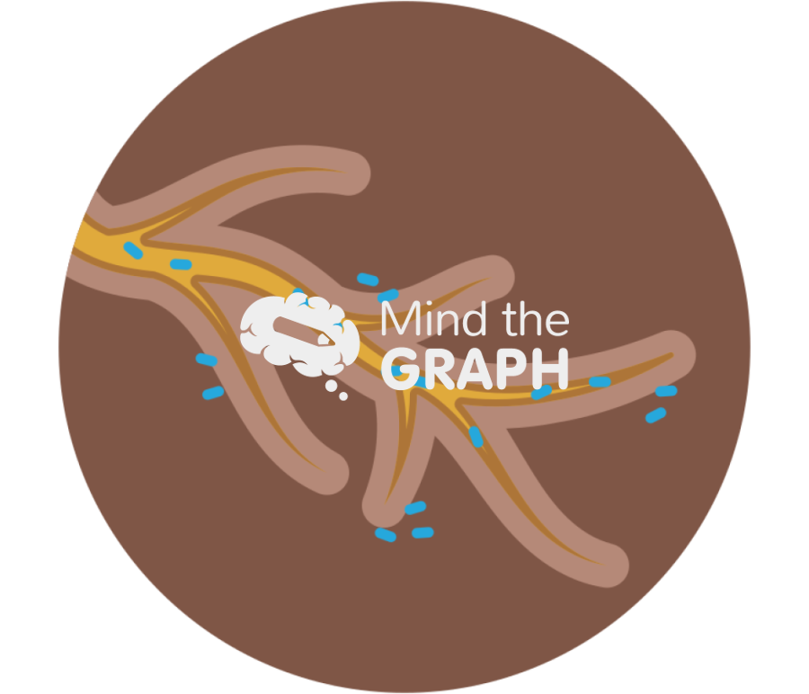 Root microbiome zoom Icons, Symbols, Pictures, and Images