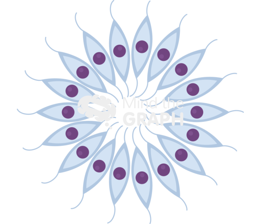 Rosette Icons, Symbols, Pictures, and Images