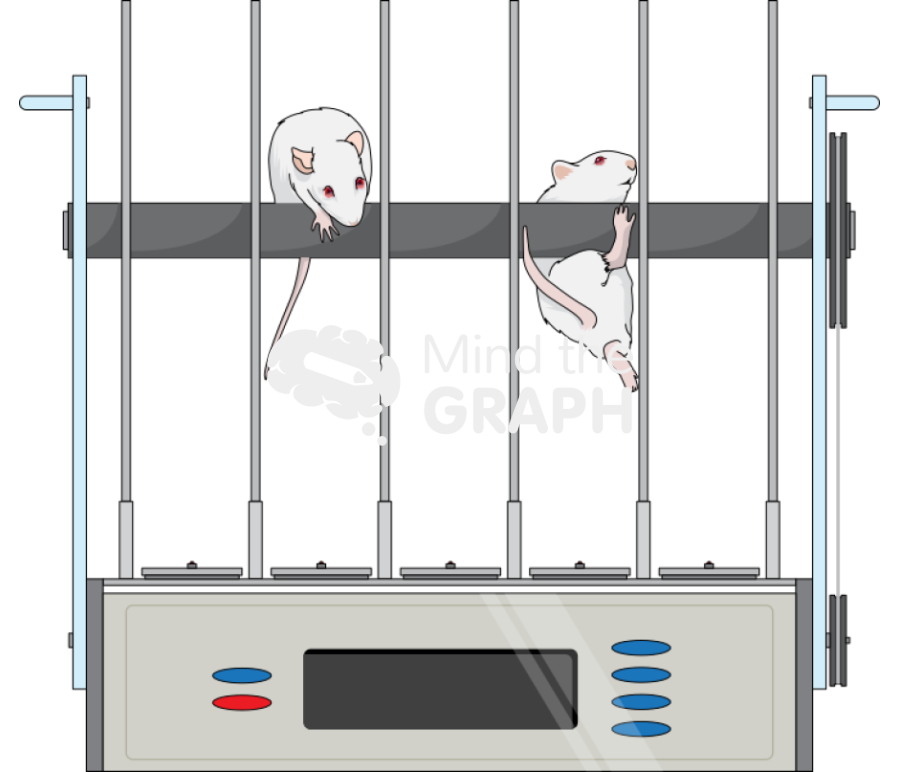 Rota rod Icons, Symbols, Pictures, and Images