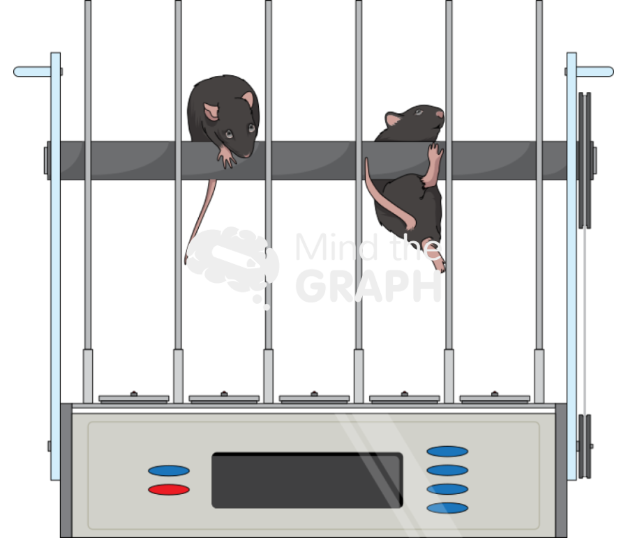 Rota rod c57bl6 mice Icons, Symbols, Pictures, and Images