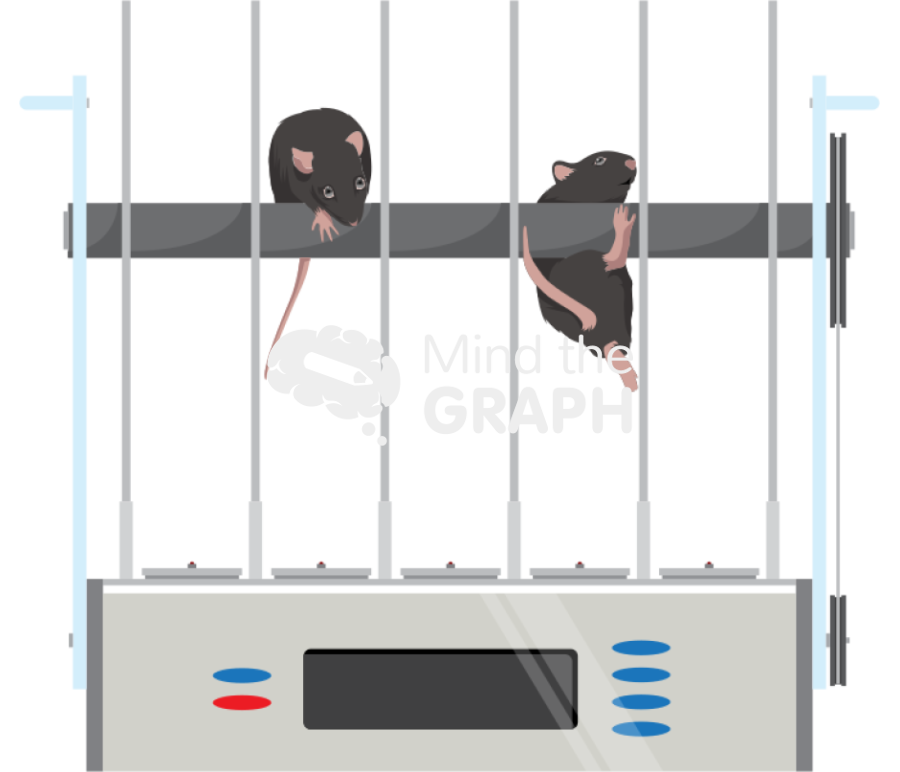 Rota rod c57bl6 mice Icons, Symbols, Pictures, and Images