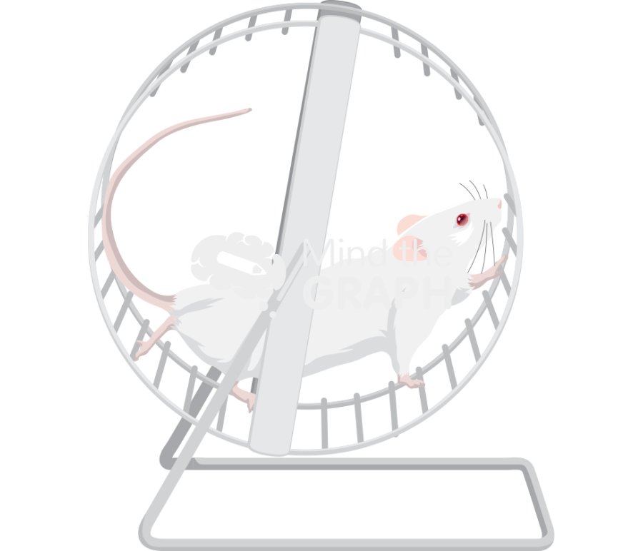 Running wheel Icons, Symbols, Pictures, and Images