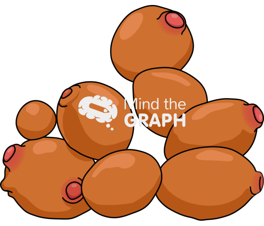 Saccharomyces cerevisiae 2 Icons, Symbols, Pictures, and Images