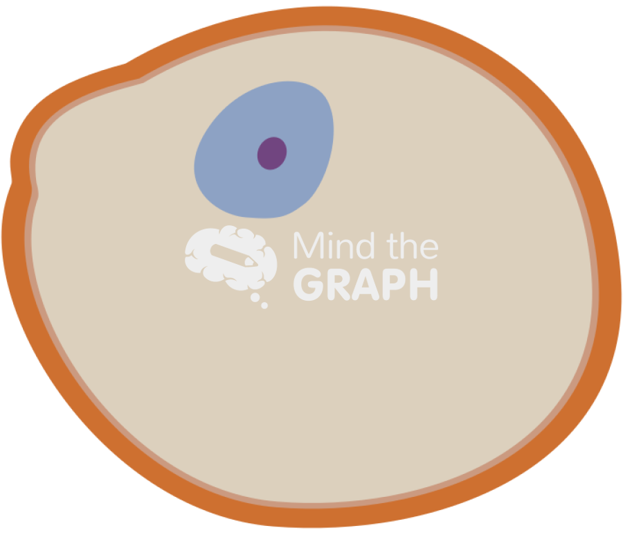 Saccharomyces cerevisiae cell blank Icons, Symbols, Pictures, and Images